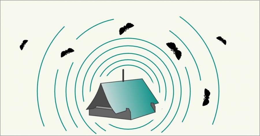 DELTASTOP CDP (zavíječ zimostrázový)